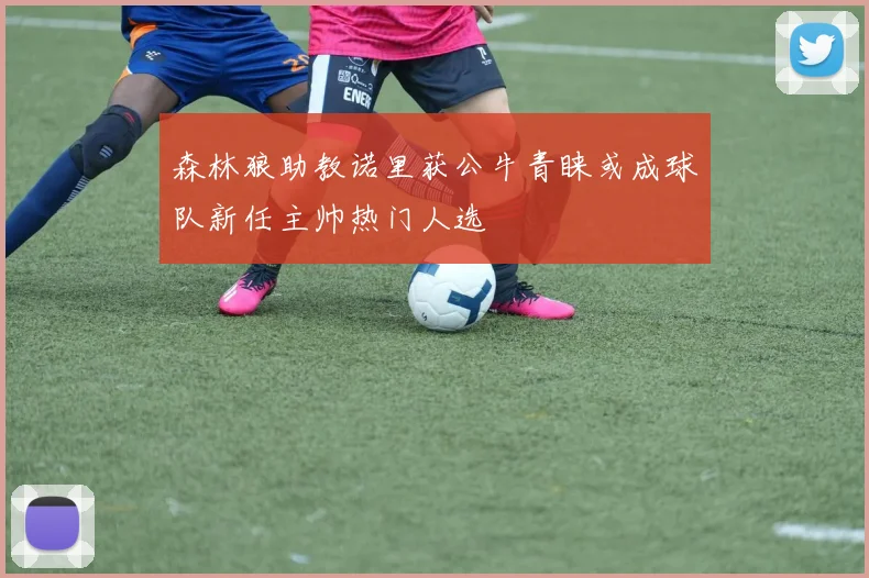 森林狼助教诺里获公牛青睐或成球队新任主帅热门人选